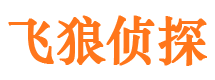 汤原市婚外情调查